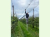 Bild Netz